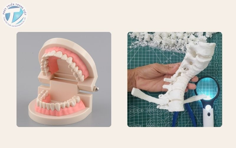 Máy in 3D ứng dụng trong lĩnh vực y tế